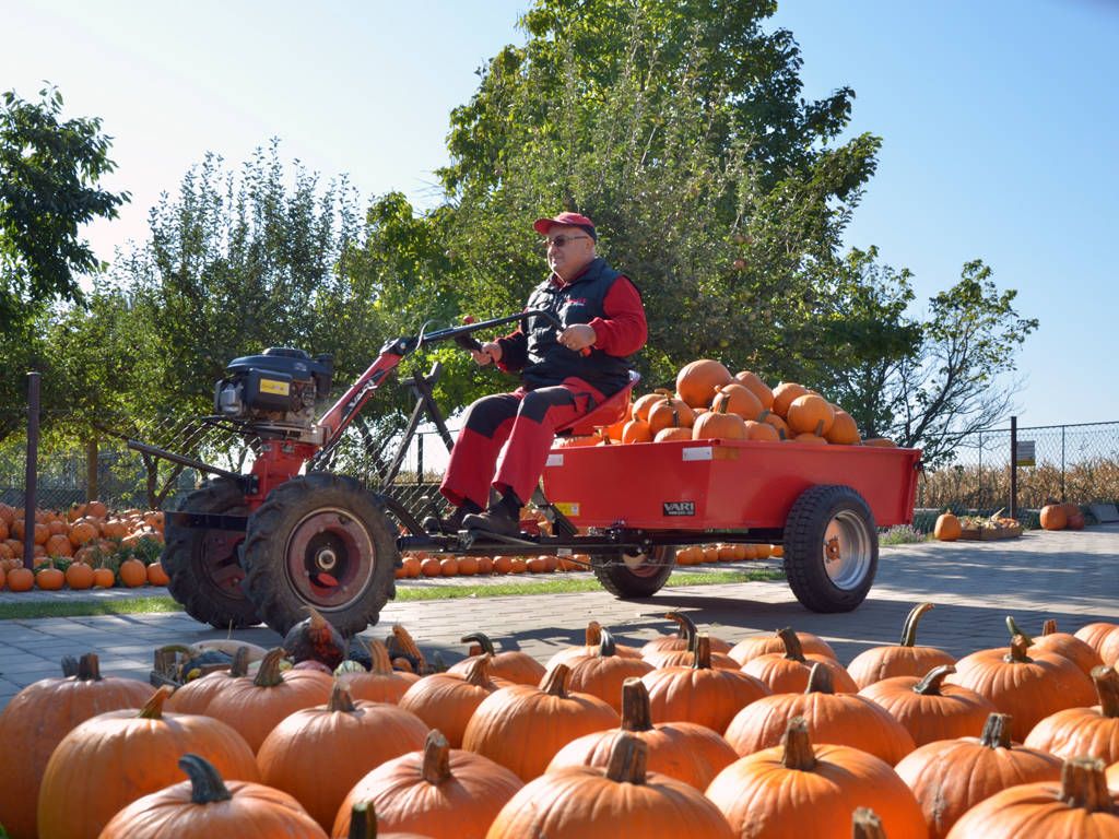 Malotraktor MTVO VARI XP 200 – Obrázok 2